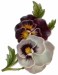 free-pansies-vintage-flowers